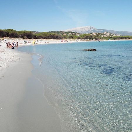 סיניסקולה Case Vacanze Rosa מראה חיצוני תמונה